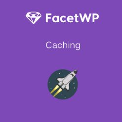 FacetWP – Caching