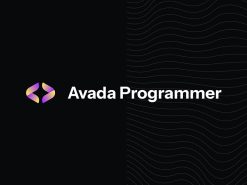 Mẫu giao diện website Avada Programmer