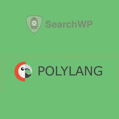 SearchWP Polylang Integration