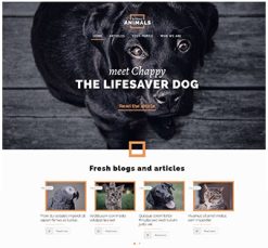 Mẫu giao diện website animals