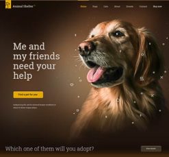 Mẫu giao diện website animal shelter
