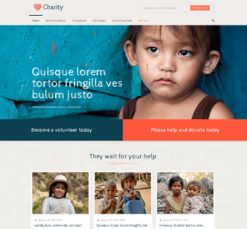 Mẫu giao diện website Tổ chức từ thiện (Charity 2)