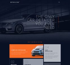 Mẫu giao diện website detailing