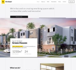 Mẫu giao diện website developer 2