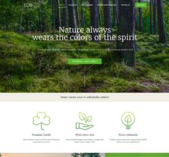 Mẫu giao diện website eco