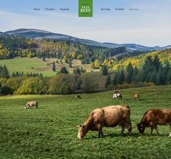 Mẫu giao diện website Thịt bò sinh thái (Eco Beef)