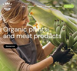 Mẫu giao diện website Thức ăn sinh thái (Eco Food)