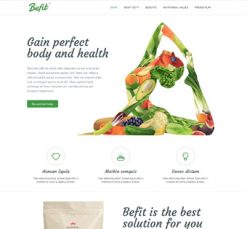 Mẫu giao diện website fit