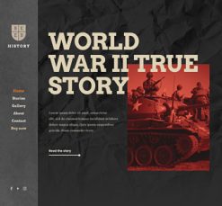 Mẫu giao diện website history