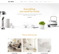 Mẫu giao diện website home