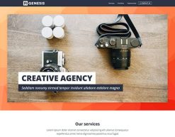 Mẫu giao diện trang đơn landing page Trang đích của cơ quan (Agency Landing Page)