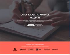 Mẫu giao diện trang đơn landing page Trang đích dịch vụ web (Web Services Landing Page)