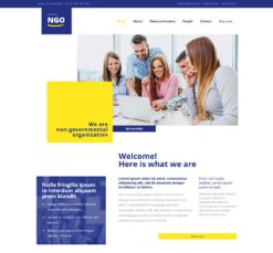 Mẫu giao diện website ngo