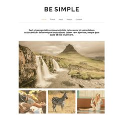Mẫu giao diện website simple