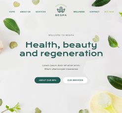 Mẫu giao diện website Spa (Spa 4)