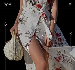 Mẫu giao diện website stylist