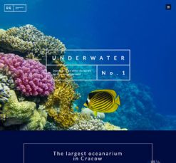 Mẫu giao diện website underwater