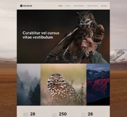 Mẫu giao diện website wildlife