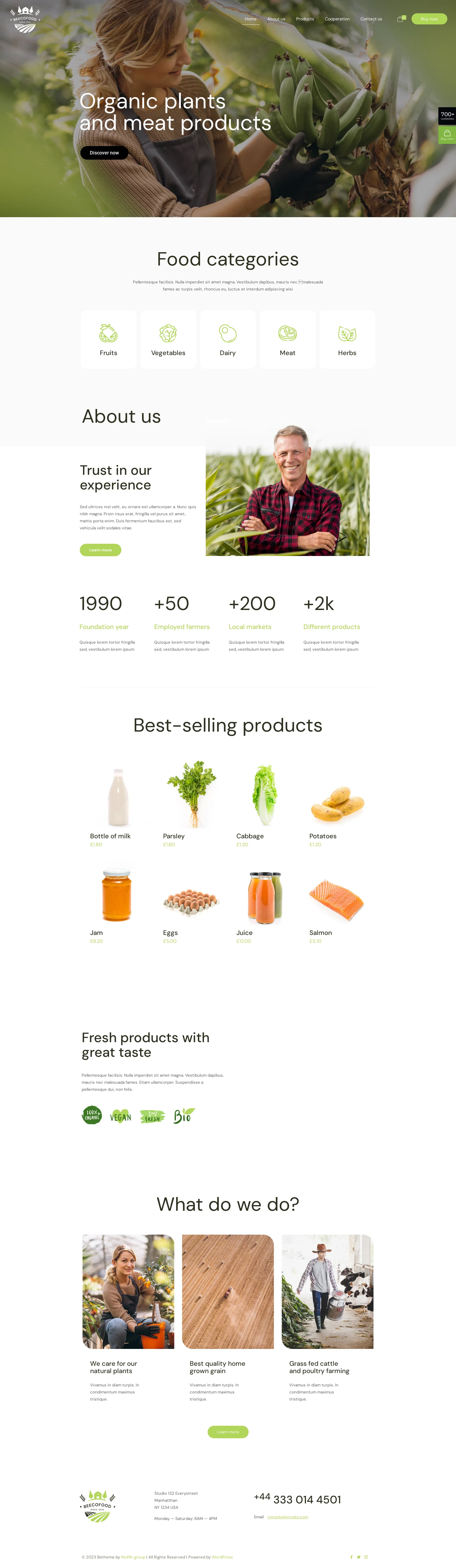 Mẫu giao diện website Thức ăn sinh thái (Eco Food) Mẫu giao diện website Thức ăn sinh thái (Eco Food)
