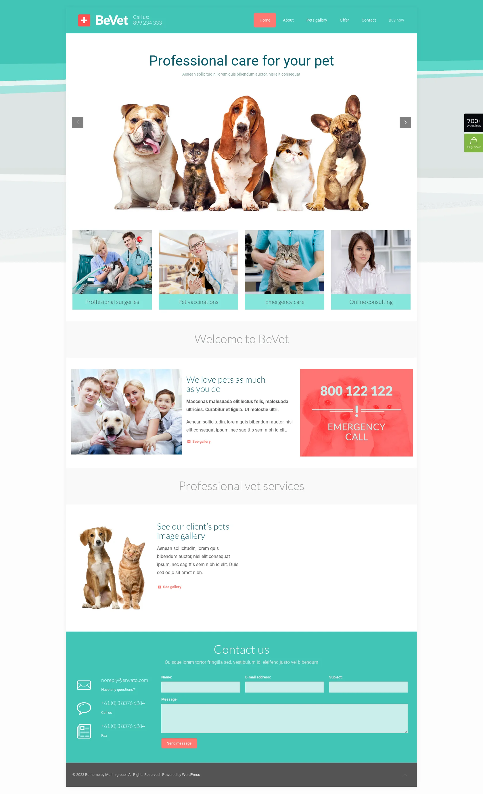 Mẫu giao diện website Bác sĩ thú y (Vet) Mẫu giao diện website Bác sĩ thú y (Vet)