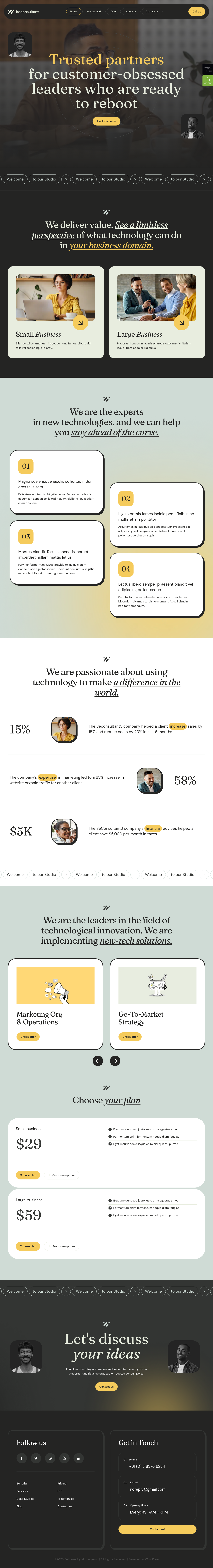 Mẫu giao diện website consultant 3