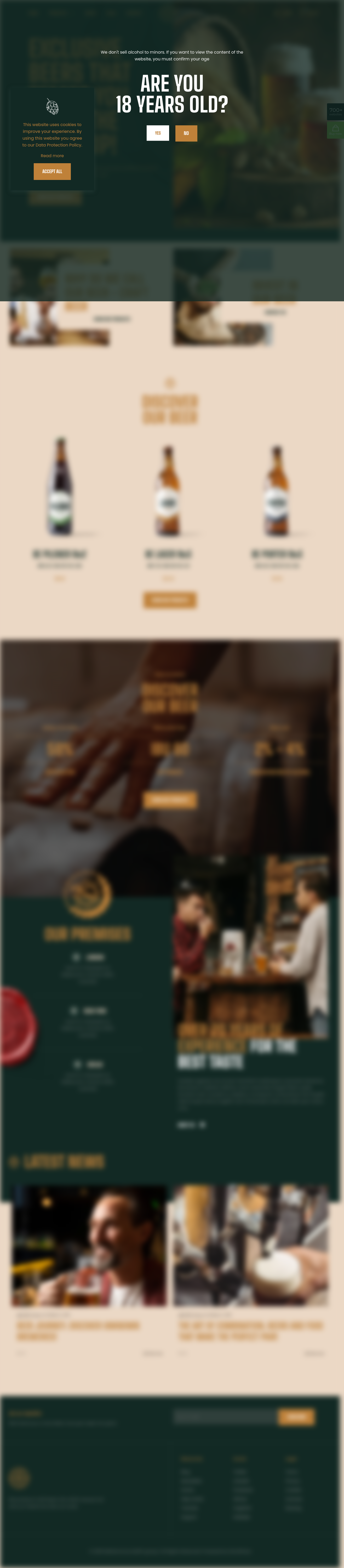 Mẫu giao diện website craft beer 3