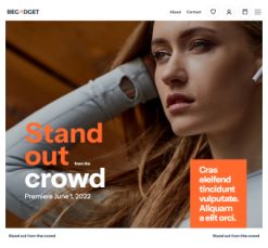 Mẫu giao diện website gadget