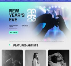 Mẫu giao diện website party 5